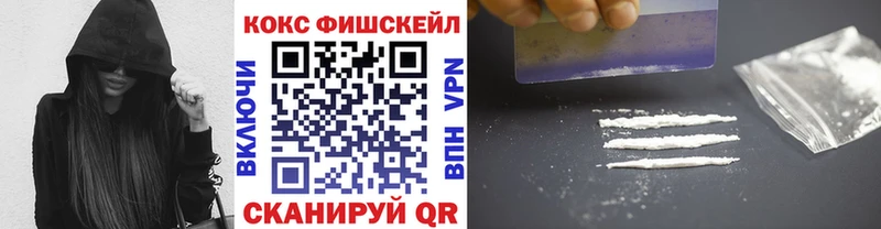 Купить где Сунжа КОКАИН Эквадор
